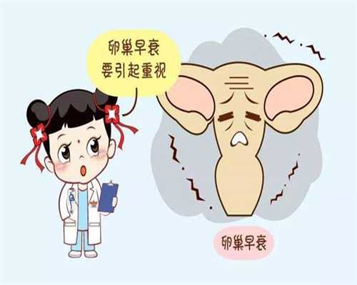 【焦点事件】国内有供卵做试管的医院吗