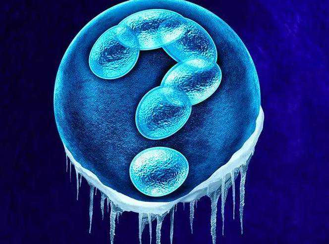 北京供卵助孕中心,我们助你成功怀孕,为你开启新生命的篇章