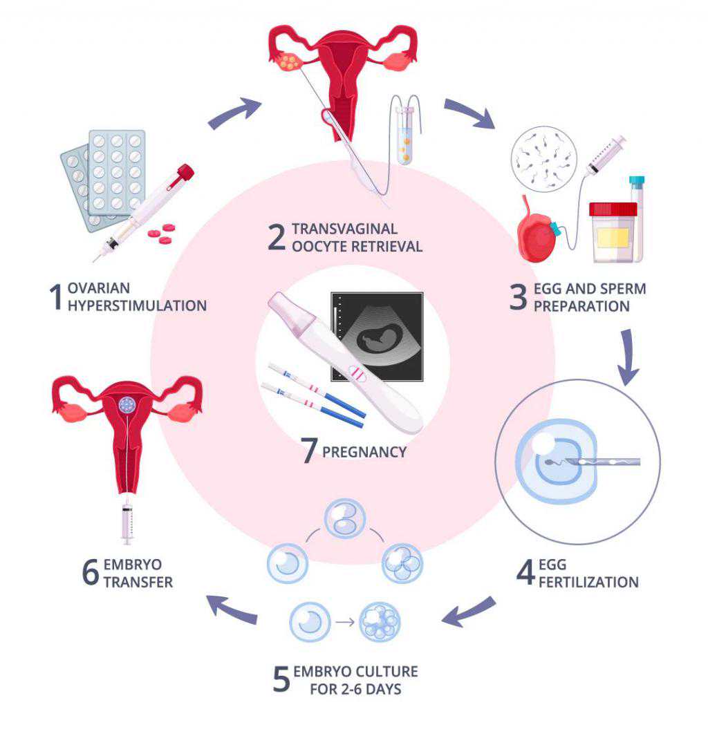 北京那个医院能做供卵试管,提供最好的咨询服务,让你更加了解代怀生子