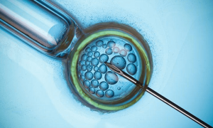 国内各省市供卵试管医院汇总表